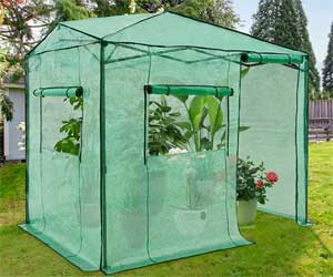 Pop-up Portable Greenhouse with Roll-Up Windows and Doors