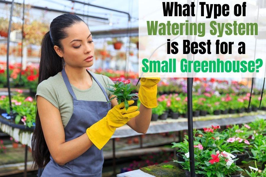 What Type of Watering System is Best?