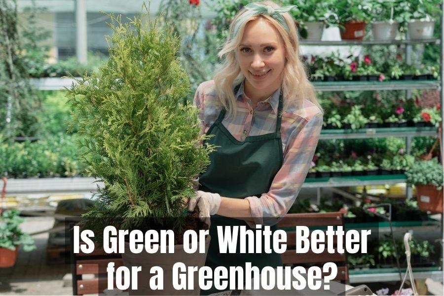 is-green-or-white-or-clear-better-for-a-greenhouse