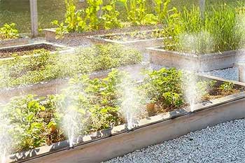 Misting System in Watering Plants in Garden