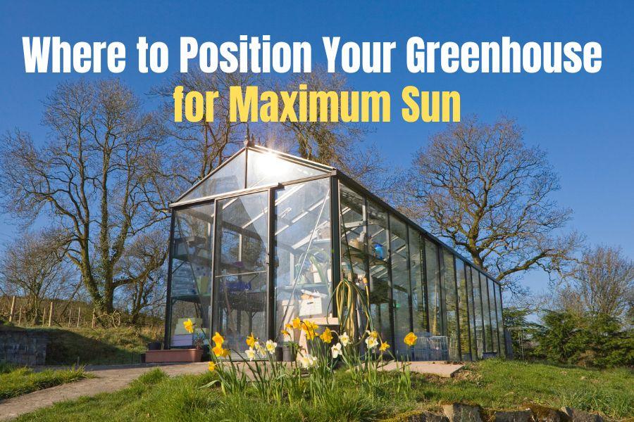 How to Get Maximum Sun on Your Greenhouse