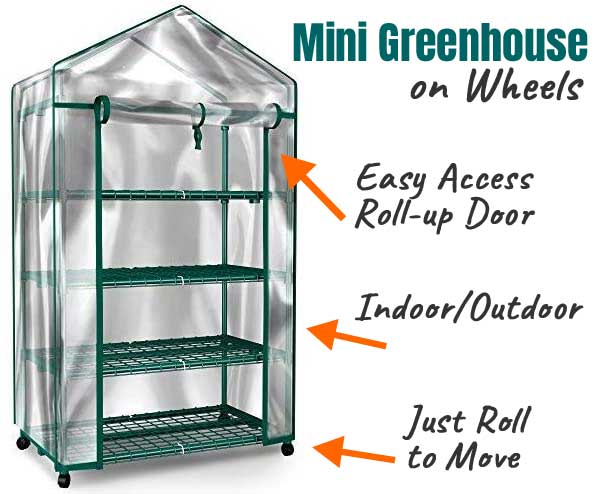 Mini Greenhouse on Wheels with Roll-up Door