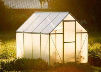 Sunrise on Greenhouse 